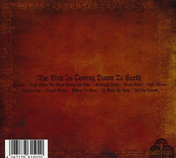 The Soft Hills: The Bird Is Coming Down to Earth [CD]