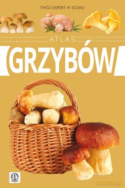 Atlas Grzybów Tw - Wiesław Kamiński [KSIĄŻKA]