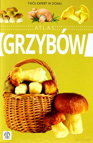Atlas Grzybów Tw - Wiesław Kamiński [KSIĄŻKA]