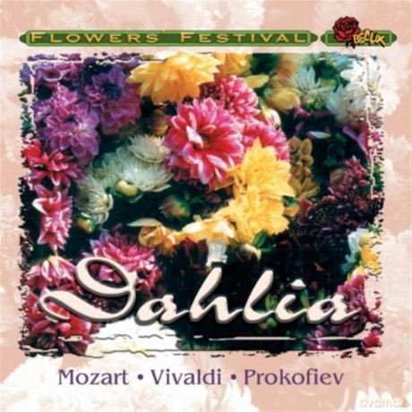 The Healing Power of Flowers - Daisy [CD]