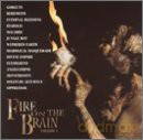 Vol. 1-Fire On The Brain [CD]