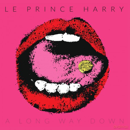 Le Prince Harry: A Long Way Down [Winyl]