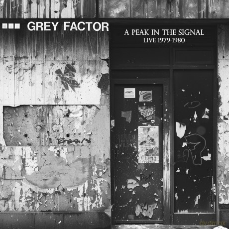 Grey Factor: A Peak In The Signal (Live 1979-1980) [Winyl]