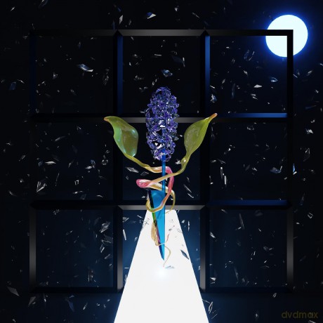 Donovan Thomas,Darian: A Room With Many Doors: Night [Winyl]