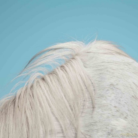 Widowspeak: All Yours [Winyl]