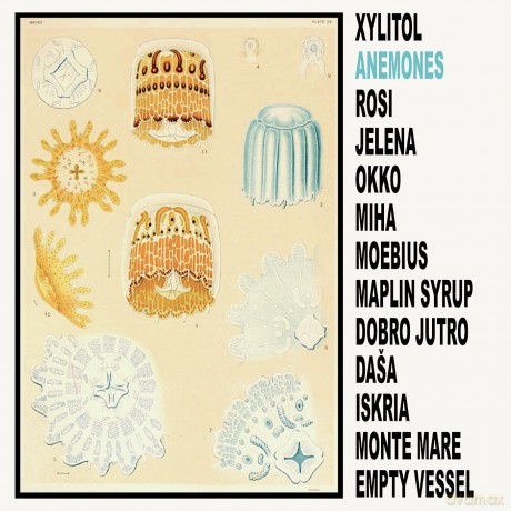 Xylitol: Anemones [Winyl]