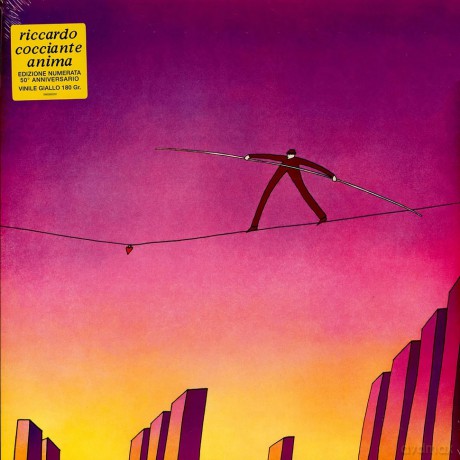Riccardo Cocciante: Anima [Winyl]