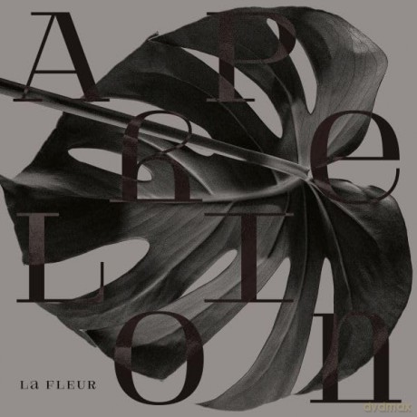 Fleur: Aphelion Ep [Winyl]