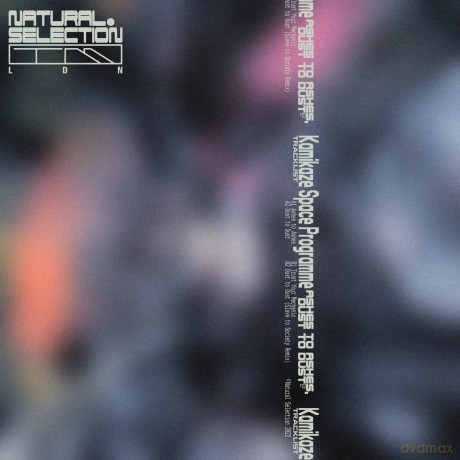 Kamikaze Space Programme: Ashes To Ashes Dust To Dust Ep [Winyl]