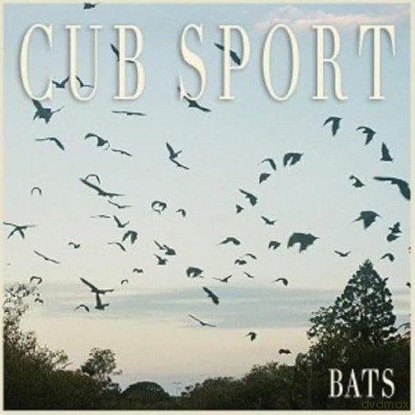 Cub Sport: Bats [2xWinyl]