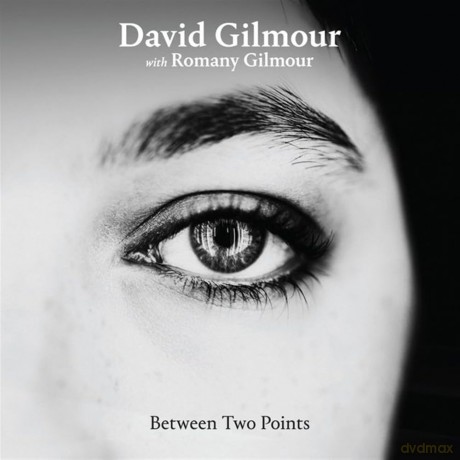 David Gilmour: Between Two Points (RSD 25) [Winyl]