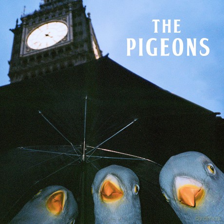 Pigeons: Bird Brain Gang [Winyl]