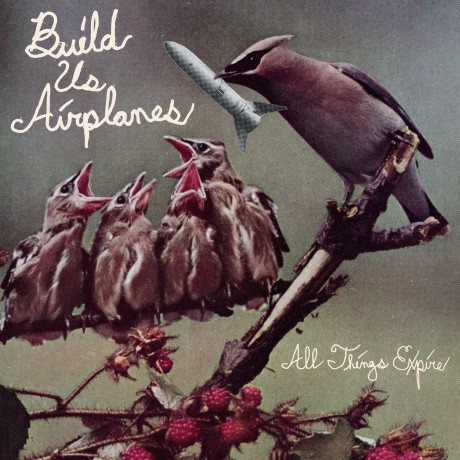 Build Us Airplanes: Build Us Airplanes - All Things Exp [Winyl]