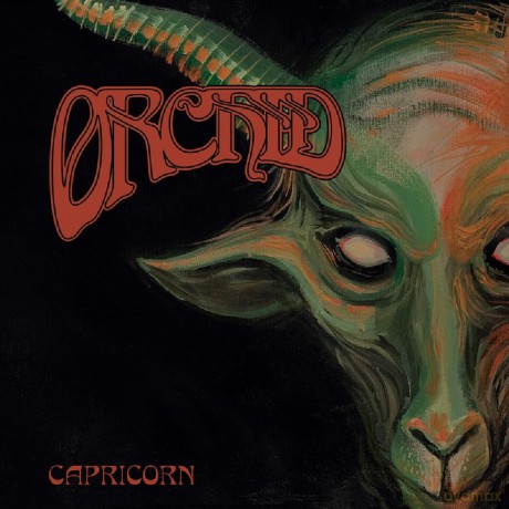 Orchid: Capricorn (Olive Green) [Winyl]
