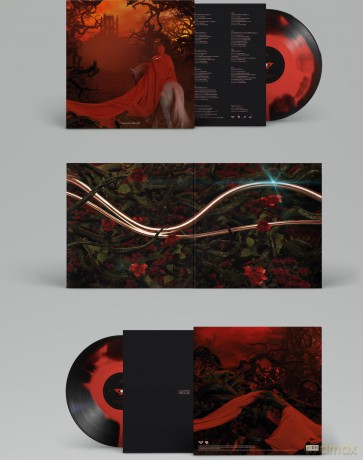 Recycled J: Casanova Deluxe [Winyl]
