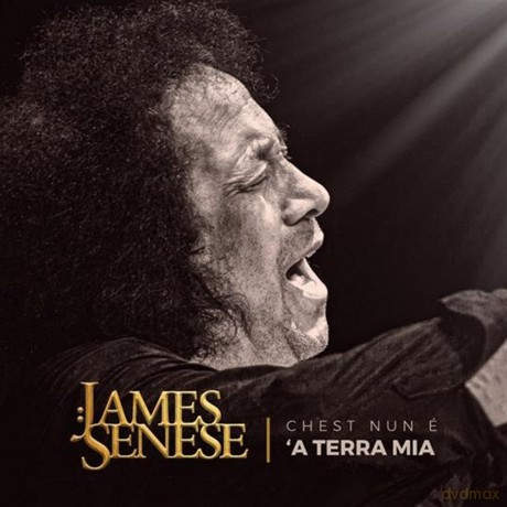 James Senese: Chest Nun E A Terra Mia [Winyl]