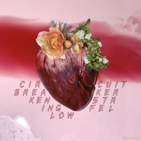 Ken Stringfellow: Circuit Breaker [Winyl]