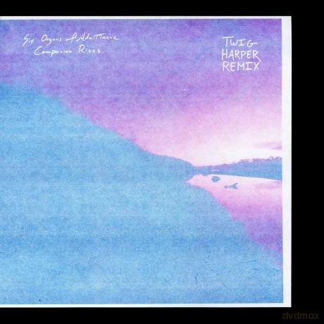 Six Organs Of Admittance: Companion Rises (Twig Harper Remix) [Winyl]