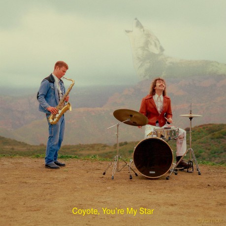 Dana And Alden: Coyote, You Re My Star [Winyl]