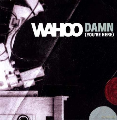 Wahoo: Damn [Winyl]