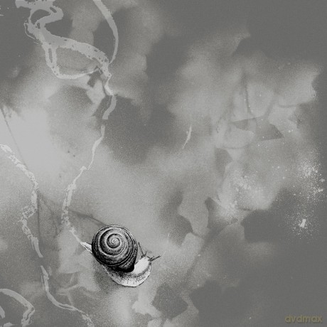 Rats On Rafts: Deep Below [Winyl]