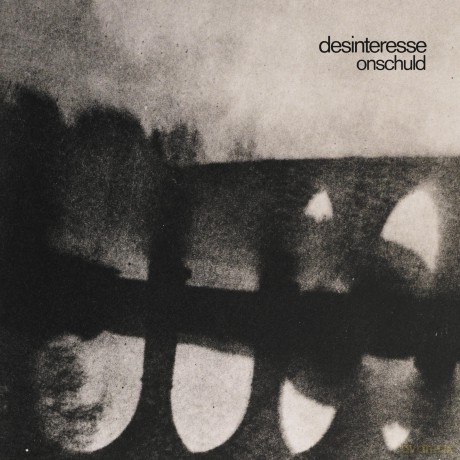 Desinteresse: Desinteresse - Onschuld (Limited Ed [Winyl]