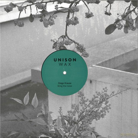 Bring The Noise: Diego Krause [Winyl]