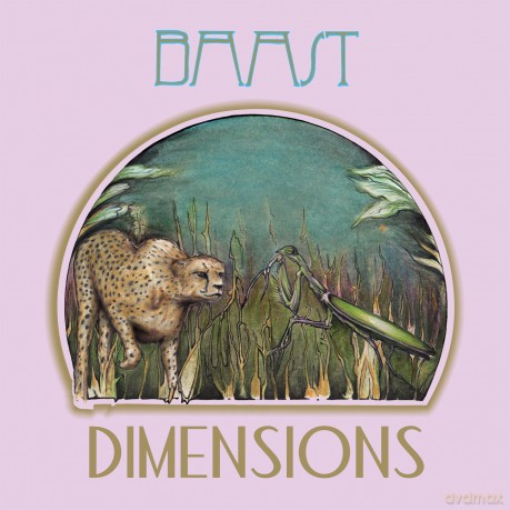 Baast: Dimensions [Winyl]