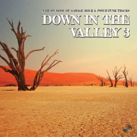 Down In The Valley 3 [Winyl]