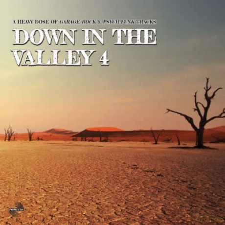 Down In The Valley 4 Various Artists Lp [Winyl]