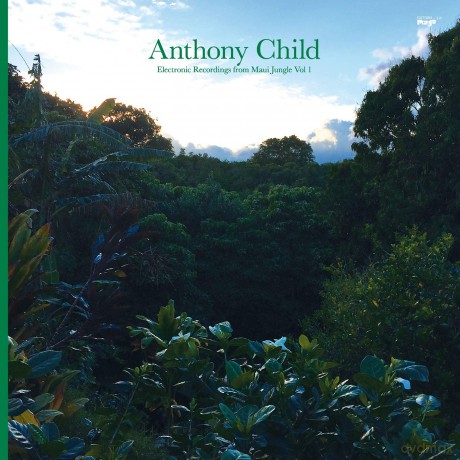 Anthony Child: Electronic Recordings From Maui Jungle, Vol. 1 [2xWinyl]