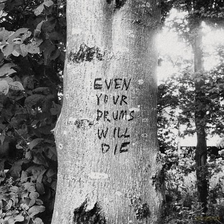 Richard Swift: Even Your Drums Will Die: Live At Pendarvis Farm 2011 [Winyl]