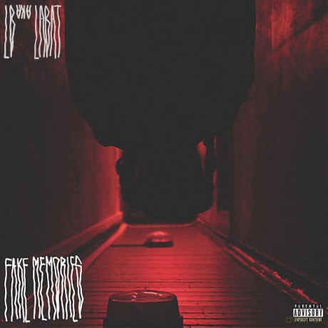 Lb Aka Labat: Fake Memories [Winyl]