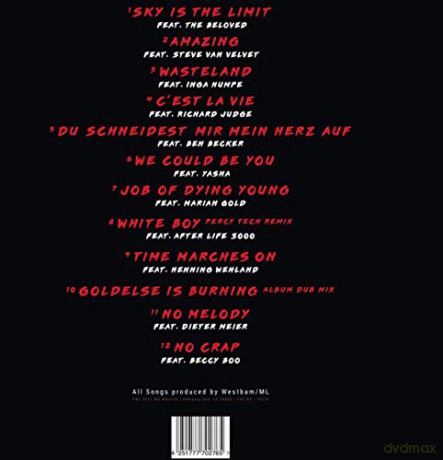 Famous Last Songs Vol. 1 [Winyl]