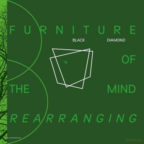 Black Diamond: Furniture Of Mind Rearranging [Winyl]