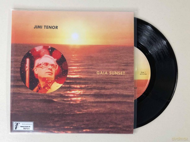Jimi Tenor: Gaia Sunset [Winyl]