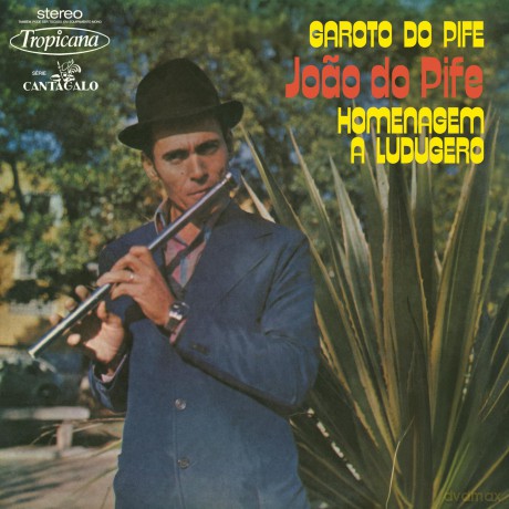 Joao Do Pife: Garoto Do Pife Homenagem A L [Winyl]