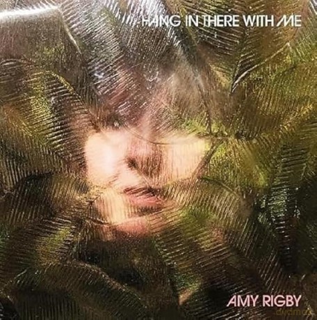 Amy Rigby: Hang In There With Me [Winyl]