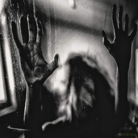Behind the Shadow Dr: Harmonic [Winyl]