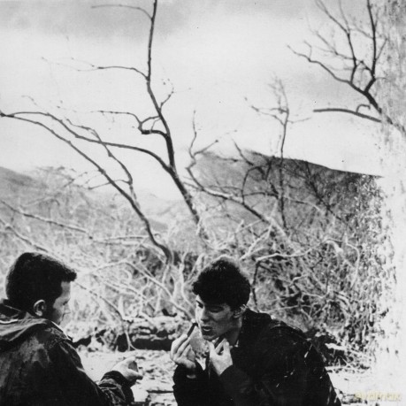 Motorama: Holy Day/Mirror [Winyl]
