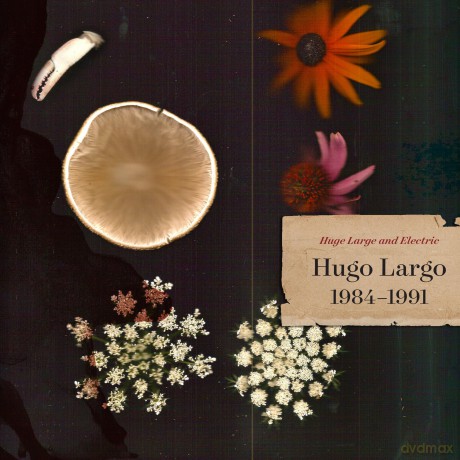 Hugo Largo: Huge Large And Electric: Hugo Largo 1984-1991 [3xWinyl]