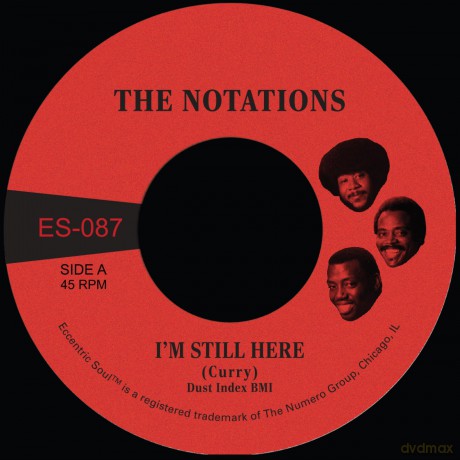 Notations: I M Still Here/What More Can I Say (White) [Winyl]