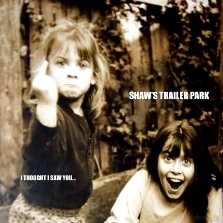 Shaw'S Trailer Park: I Thought I Saw You... [Winyl]