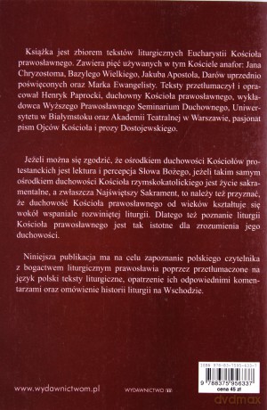 Liturgie Kościoła Prawosławnego - Henryk Paprocki [KSIĄŻKA]