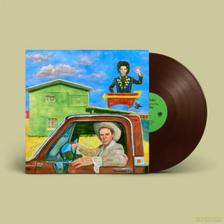 Pedigo,Hayden: I'Ll Be Waving As You Drive Away (Color) [Winyl]