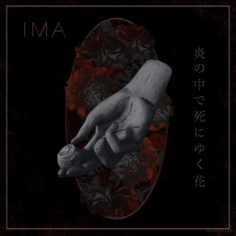 Ima: Ima [Winyl]