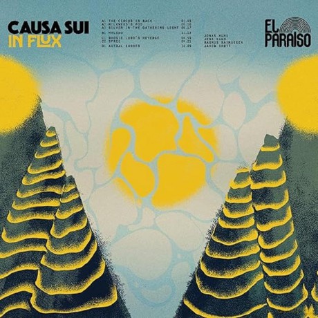 Causa Sui: In Flux [Winyl]