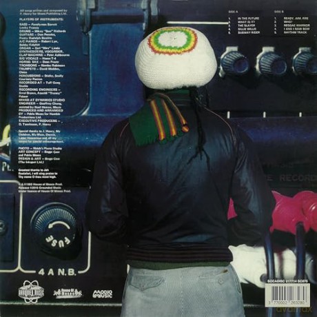 Pablo Moses: In The Future (Reissue) [Winyl]