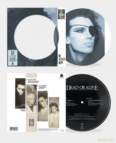 Dead Or Alive: In Too Deep (Picture) [Winyl]
