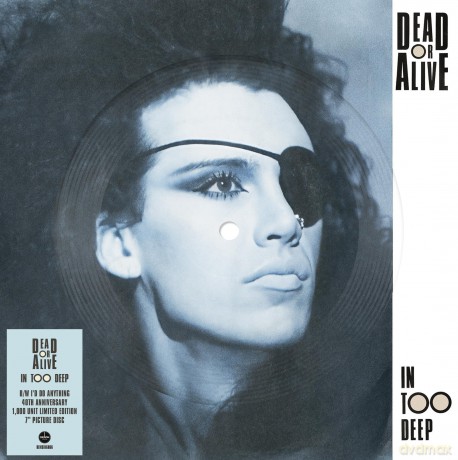 Dead Or Alive: In Too Deep (Picture) [Winyl]